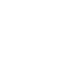 icon-image